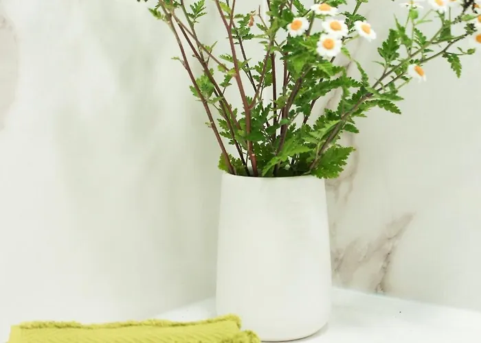 Monte Do Couto Üdülőpark